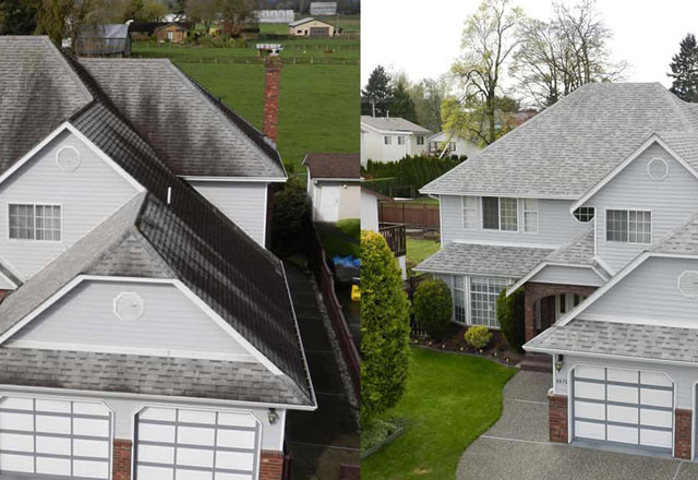 affordable roof cleaning Chilliwack BC