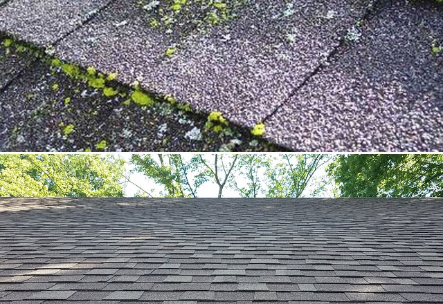 professional roof cleaning company